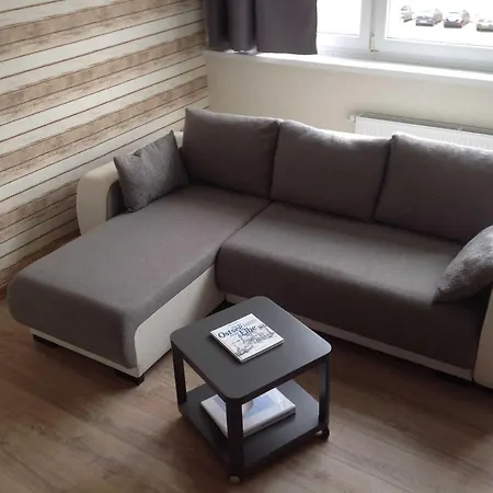 公寓 Ferienwohnung Mowe Schonberg *