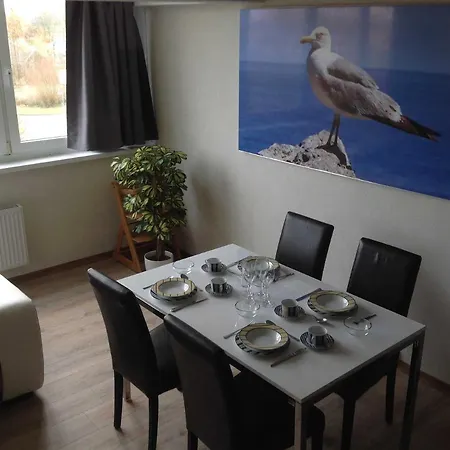 公寓 Ferienwohnung Mowe Schonberg 布拉希里恩